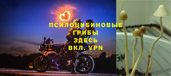 твердый Белокуриха