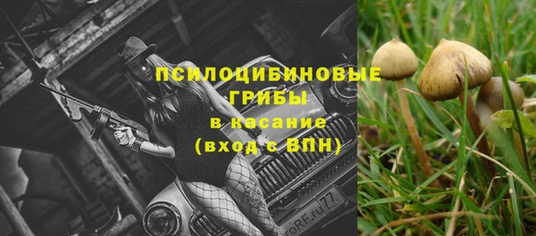 PSILOCYBIN Белоозёрский