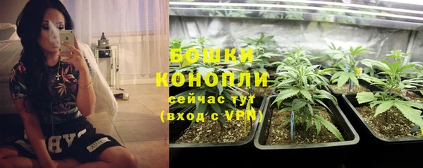 твердый Белокуриха