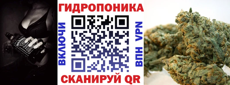гидра вход  Велиж  Конопля план 